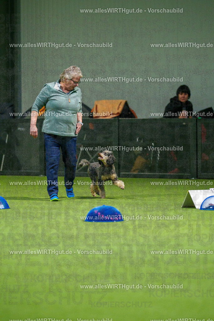 7R504038 | Professionelle Tierfotografie in Mönchengladbach von Daniel Wirth (allesWIRTHgut). Liebevolle & natürliche Bilder von Hunden & Katzen für unvergessliche Erinnerungen.