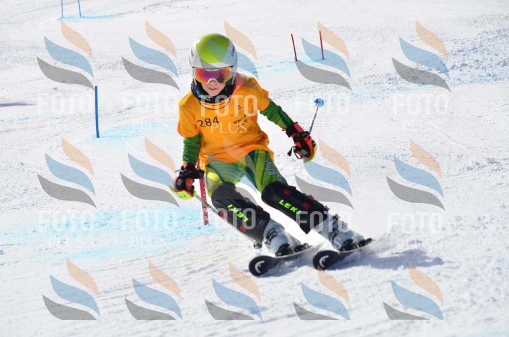 C8658 | holidayphoto