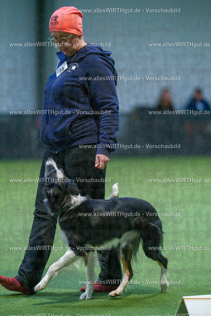 7R502719 | Professionelle Tierfotografie in Mönchengladbach von Daniel Wirth (allesWIRTHgut). Liebevolle & natürliche Bilder von Hunden & Katzen für unvergessliche Erinnerungen.