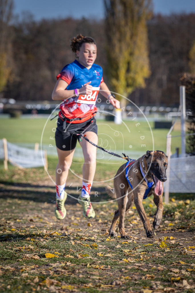CaniXpix_DV3A9131 | Hundefotografie, Tierfotograf, Pfotenfotografie, Fotoshooting Hund, Hunde Portrait, Hundesport, Hundeportraits, Heideshooting, Hunde, Sportfotograf, Hundefotograf, Turnierhundsport, THS,  - Realisiert mit Pictrs.com