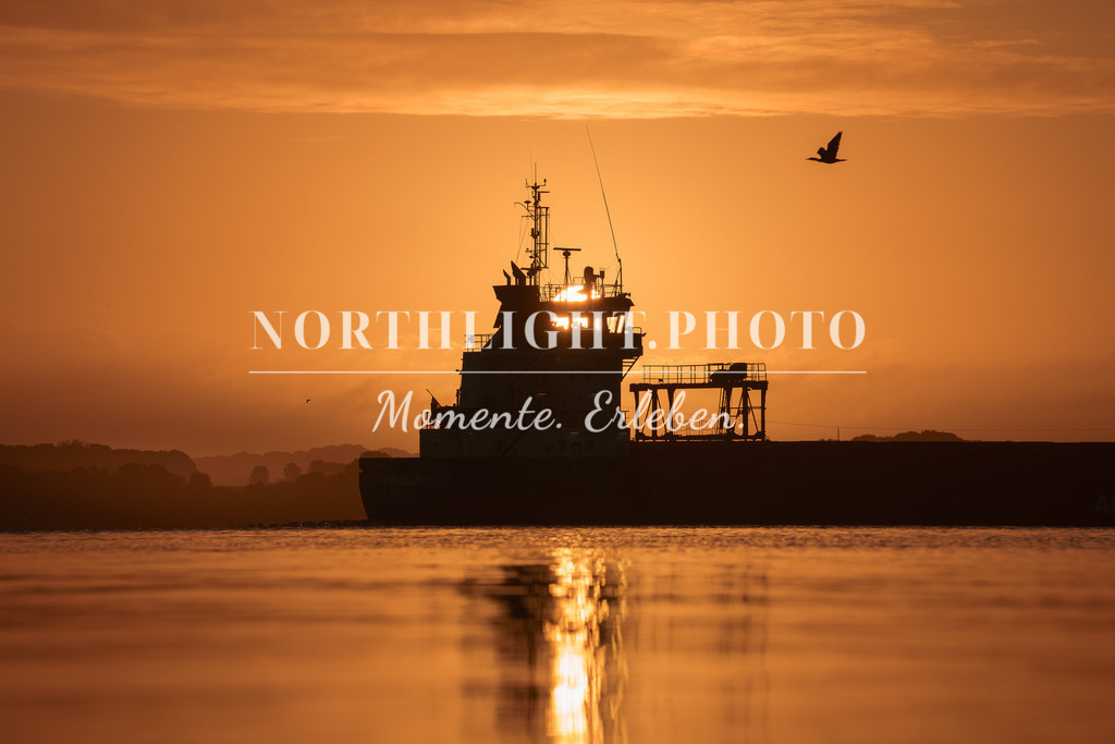 DSC09443 | Exklusive Landschaftsfotografien von der Ostsee, ganz Deutschland und dem Rest der Welt. Gedruckt auf hochwertigen Materialien. Die Welt an deiner Wand - jetzt im Northlight.Photo Shop bestellen. - Realisiert mit Pictrs.com