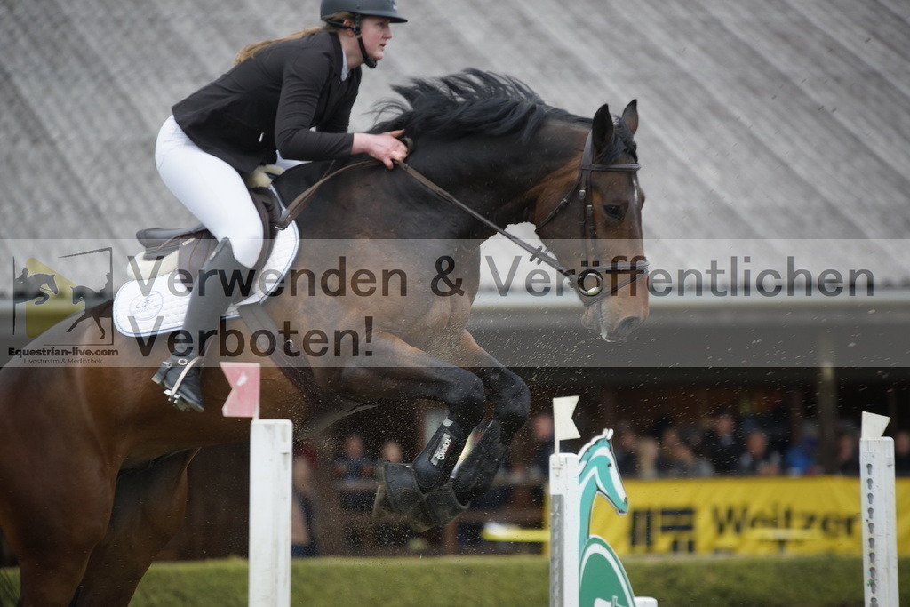 _DSC8227 | equestrian-live-com