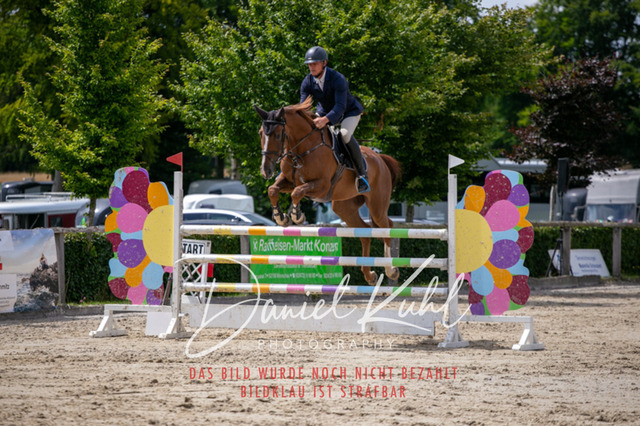 IMG_5737 | Deine Turnierfotos vom Reitturnier online kaufen: Dressur, Springen & Siegerehrung. Professionelle Pferdefotografie aus dem Rheinland – als Download & Print.Alternative: Turnierfotograf für den Pferdesport: Finde deine Fotos von Dressur- und Springturnier