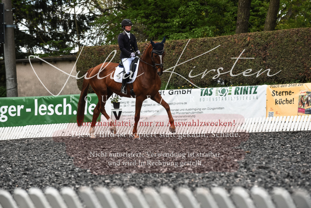 20230514_JK-Röhrsdorf-24-174 | Pferde- und Turnierfotografie in Westsachsen. Pferdeportraits, Auftragszeichnungen und intuitive Kunst.