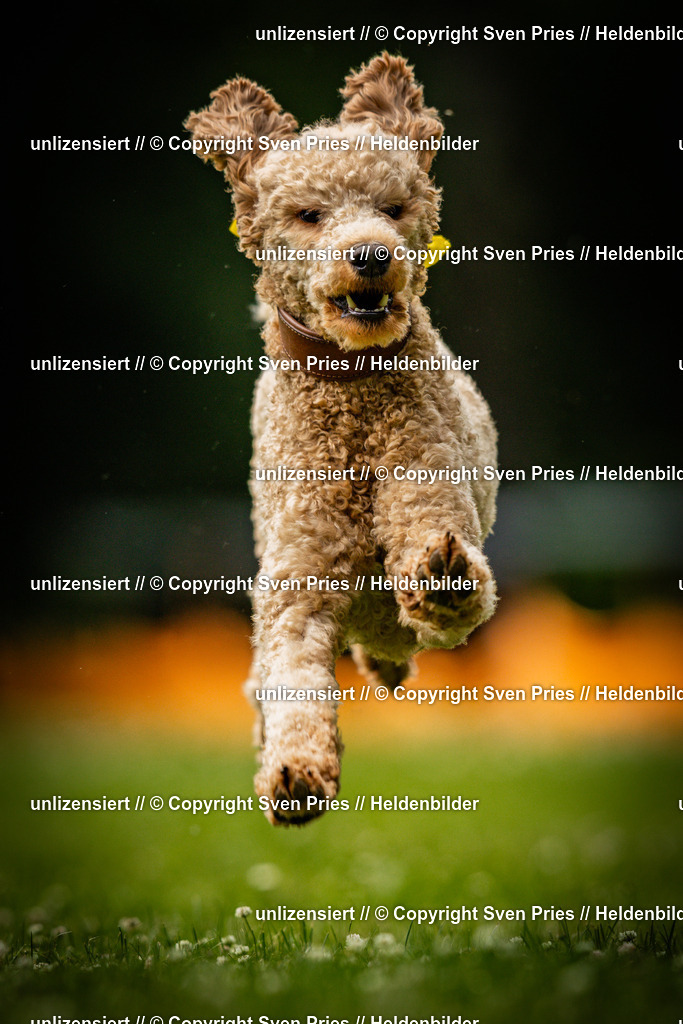 Sven Pries | 2025-05-29 - Pudelrennen KA-Durlach - Realisiert mit Pictrs.com