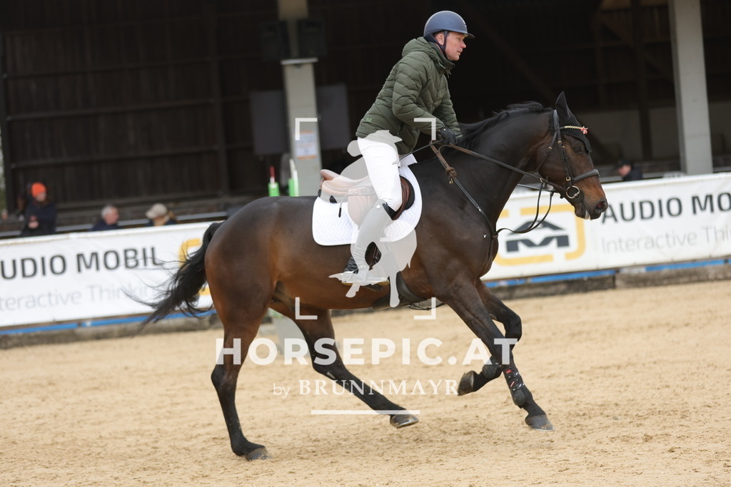 0P6A1731 | Willkommen bei Brunnmayr - Design & Fotografie – Ihrem Spezialisten für Reitturniere und Pferdeveranstaltungen in Oberösterreich, Salzburg und Bayern! Seit über 17 Jahren sind wir leidenschaftlich dabei.