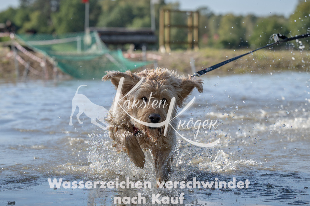 1311_ZZ90176 | kk-dogfotos