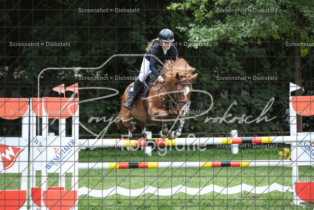 _W6A1321 | ronjaprokoschfotografie - Realisiert mit Pictrs.com