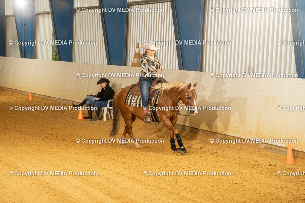 MIT00531 | dv-media-shop - Realisiert mit Pictrs.com