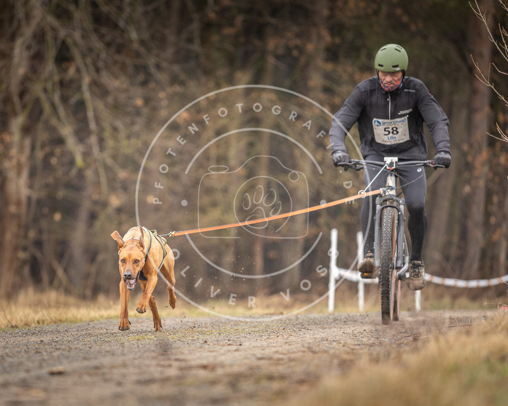 DV3A3250 | Hundefotografie, Tierfotograf, Pfotenfotografie, Fotoshooting Hund, Hunde Portrait, Hundesport, Hundeportraits, Heideshooting, Hunde, Sportfotograf, Hundefotograf, Turnierhundsport, THS,  - Realisiert mit Pictrs.com