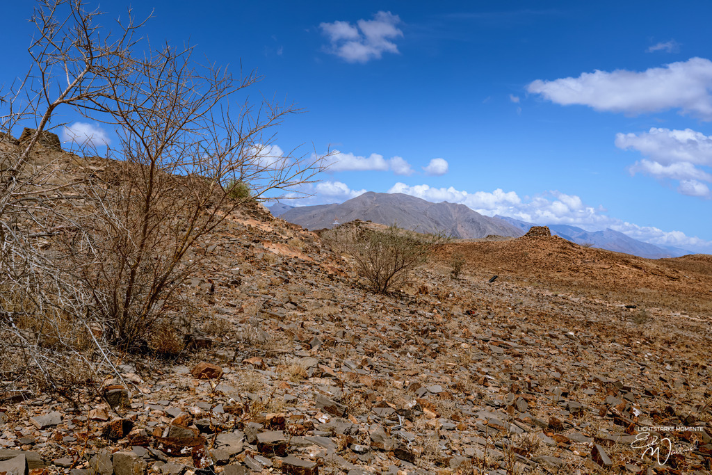 20241017-093740 OMAN _098 | Herzlich willkommen auf meiner Seite! Ich bin Elke Wallnisch, Deine Fotografin für lichtstarke Momente. Der Name steht für alles, was mich mit der Fotografie verbindet: Das Licht und seine machtvolle Wirkung auf eine Situation oder unsere Stimmung - Realisiert mit Pictrs.com