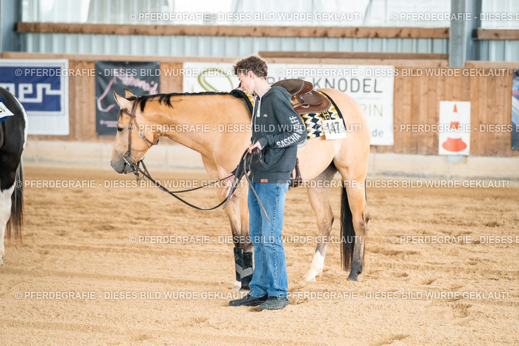 DSC03119 | Pferdegrafie