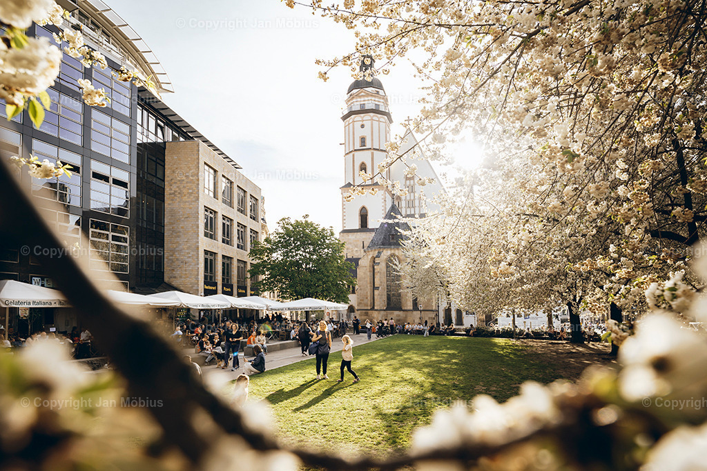 _DSC1476 | Leipzig Wandbilder Drucke Prints Leinwand Stadtmotive Leipzig Fotosdruck Kunstdrucke Bilder Leipzig Stadtansichten Acrylglasbilder Leipzig Wanddeko Fine Art Prints Wandbilder Büro Leipzig Bilder Praxis Zuhause Bilderdruck Poster Posterlounge Kunstdrucke - Realisiert mit Pictrs.com