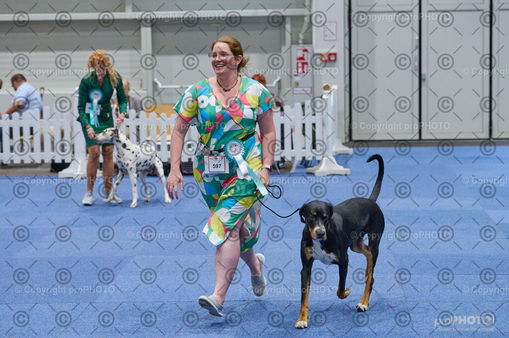 202406_ÖKV-IHA-Tulln24_DSC_3101 | proPHOTO - Realisiert mit Pictrs.com