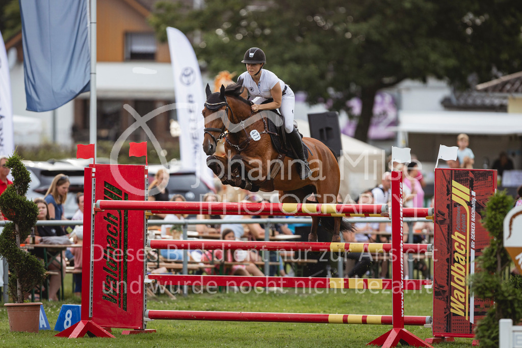 240719_LC_Youngster-S-619 | Deine schönsten Turniermomente als professionelle Fotos! Entdecke hochwertige Pferdesport-Fotografie im Online-Shop. Jetzt Fotos finden & bestellen!