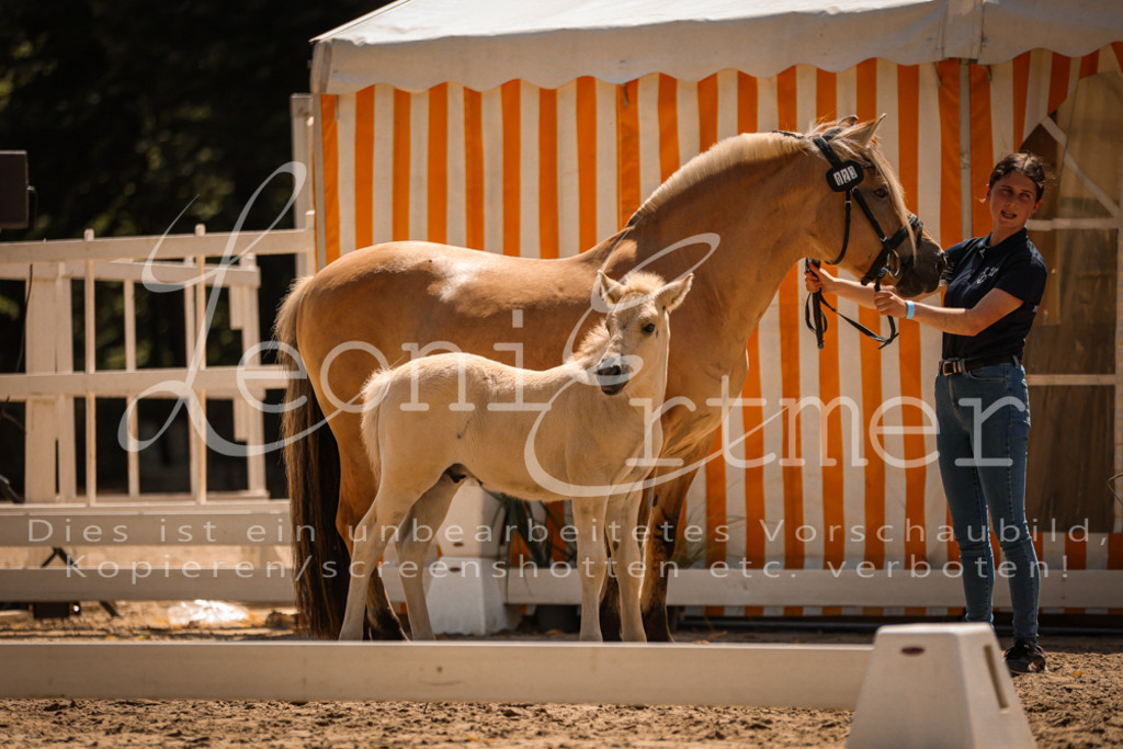 05.DoF00071 | Leoni Ertmer Photography - Realisiert mit Pictrs.com