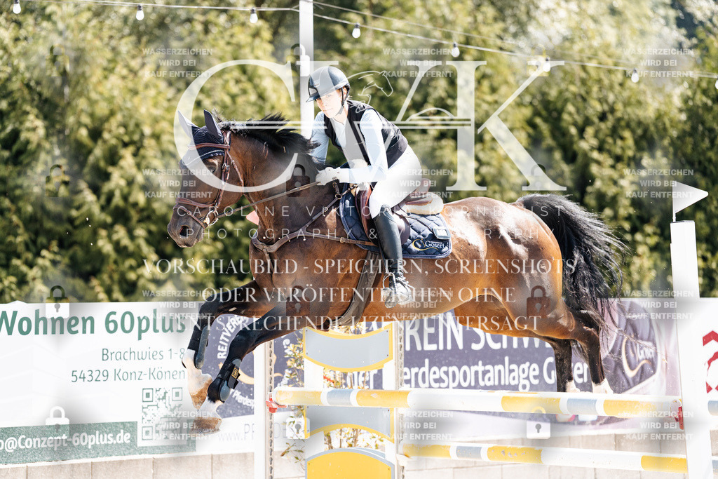 CK909146 | Turnierfotografie Pferdefotografie Trier Rheinland-Pfalz Pferdesport Reitsport Tierfotografie Sportfotografie Pferdevideo Pferdevideografie Equestrianvideography equestrianphotography  - Realisiert mit Pictrs.com