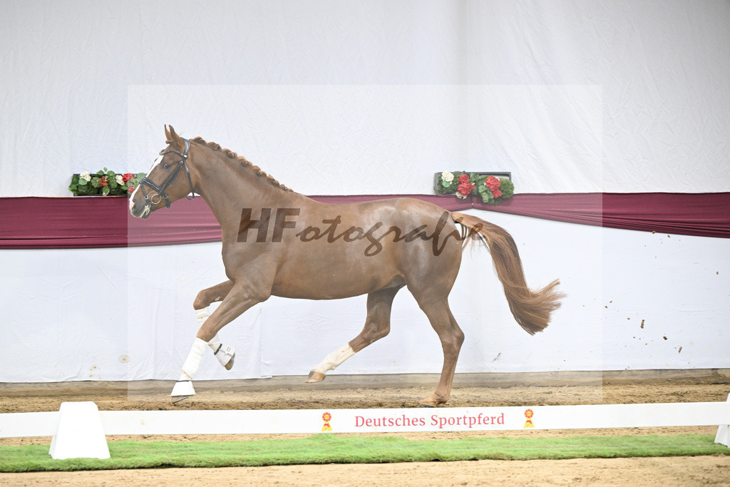 Kat-Nr. 115 Secret x Fidermark_Frieder Heilemann_47254365 | hf-fotografie - Realisiert mit Pictrs.com