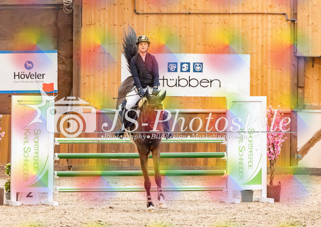 20260221_03_Springpferdeprfg KlL115-55 | JS-Photostyle - Sport-/Portrait- & Eventfotografie