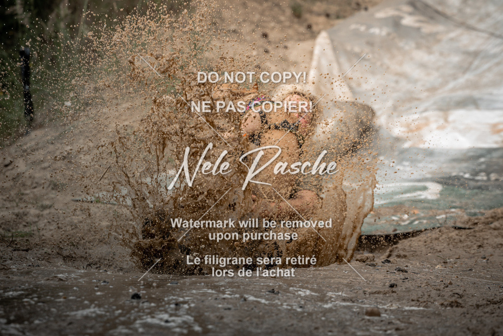 nelerasche_sa1430-1500_292 | nelerasche