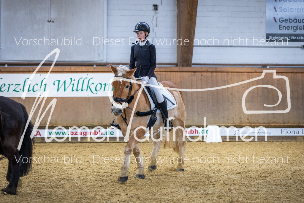 _M2A1616 | MomenTaufnahmen Pferdesportfotos