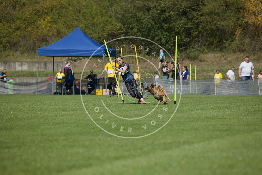 0L8A6089 | Hundefotografie, Tierfotograf, Pfotenfotografie, Fotoshooting Hund, Hunde Portrait, Hundesport, Hundeportraits, Heideshooting, Hunde, Sportfotograf, Hundefotograf, Turnierhundsport, THS,  - Realisiert mit Pictrs.com