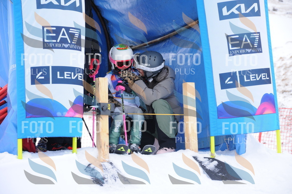 DSC_8048 | holidayphoto