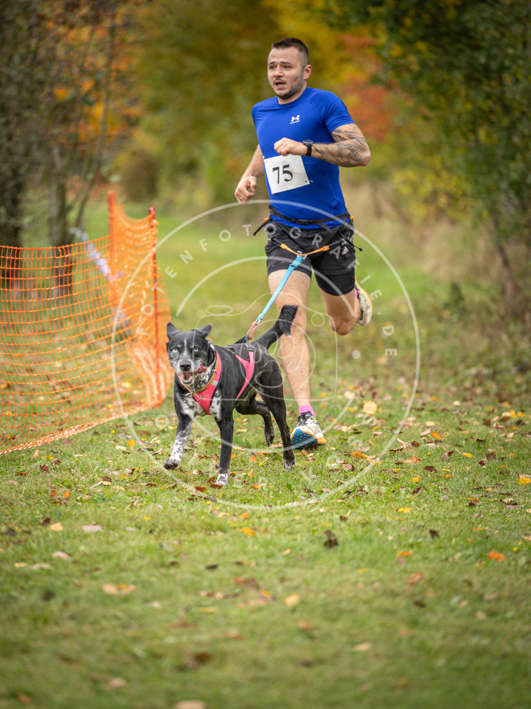 Pfotenfotografie_DV3A2924 | Hundefotografie, Tierfotograf, Pfotenfotografie, Fotoshooting Hund, Hunde Portrait, Hundesport, Hundeportraits, Heideshooting, Hunde, Sportfotograf, Hundefotograf, Turnierhundsport, THS,  - Realisiert mit Pictrs.com
