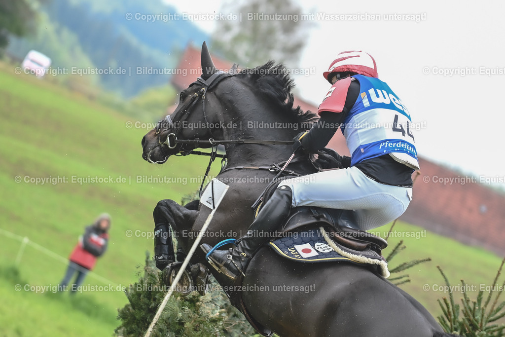 20230513_CCI4_Gelände_0554 | equistock