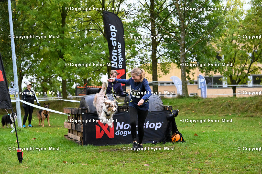 DSC_2006 | Hallo und herzlich Willkommen auf meiner Shop-Seite Fynn Most.

Ich wünsche Dir viel Spaß beim stöbern durch die Bilder, wenn Du Fragen hast oder Bilder vermisst, kannst du mir gerne eine Nachricht schreiben. - Realisiert mit Pictrs.com