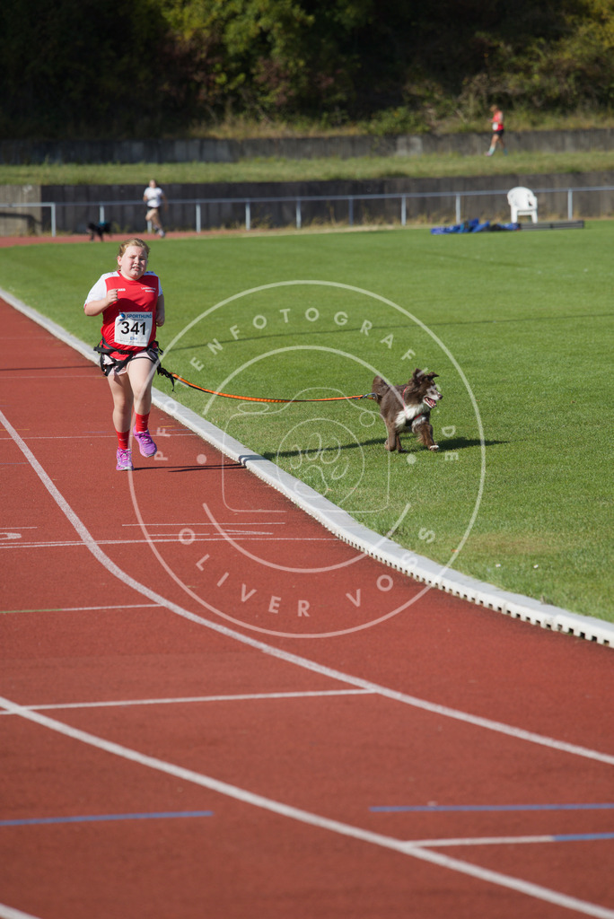 0L8A8874 | Hundefotografie, Tierfotograf, Pfotenfotografie, Fotoshooting Hund, Hunde Portrait, Hundesport, Hundeportraits, Heideshooting, Hunde, Sportfotograf, Hundefotograf, Turnierhundsport, THS,  - Realisiert mit Pictrs.com