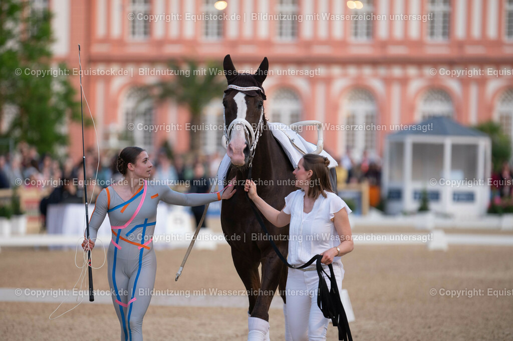 20230527_Voltigieren_NASPA_Flutlicht_0062 | equistock