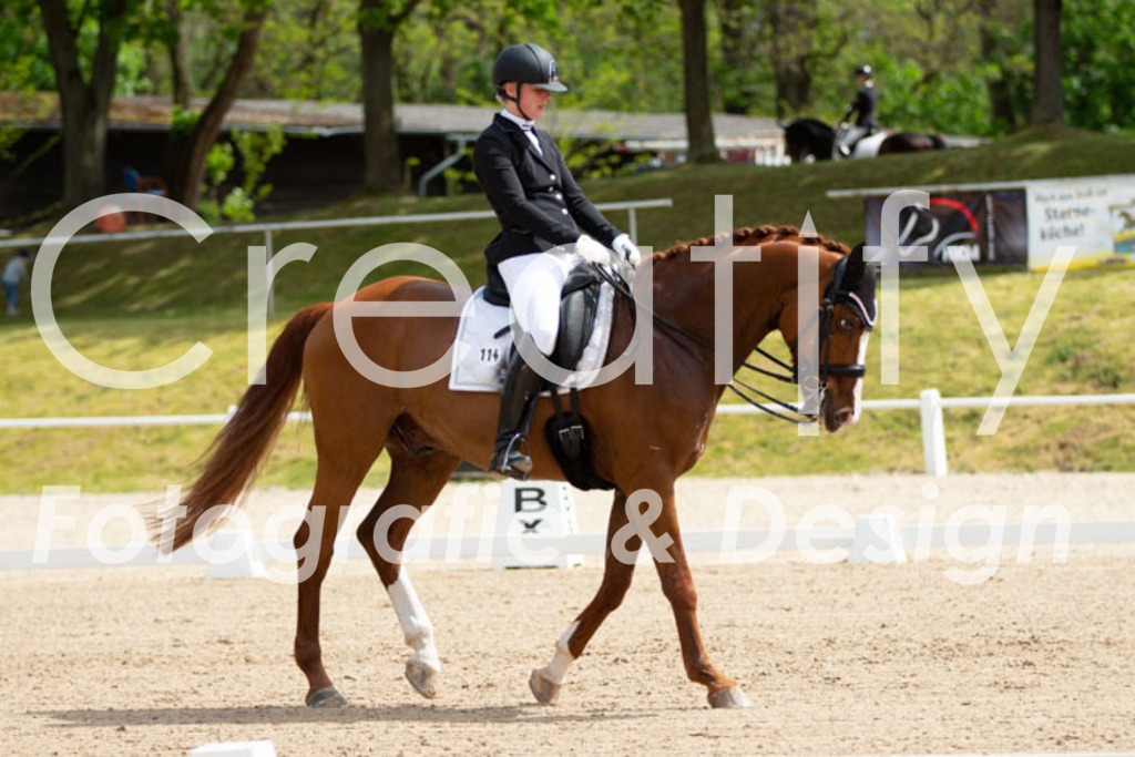 IMG_6485 | Creatify Fotografie