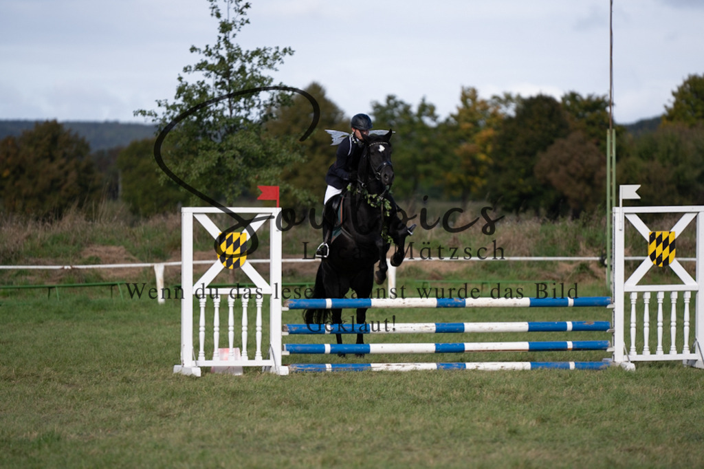 A7V06575 | Pferdefotograf