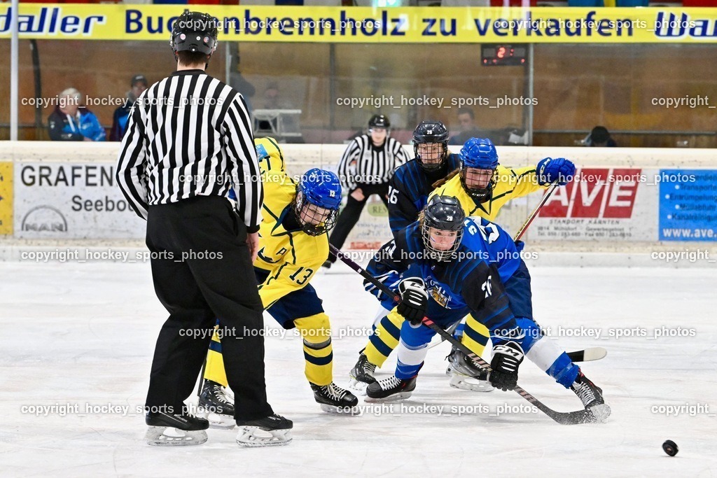 Z9B_6791 | hockey sports photos, Pressefotos, Sportfotos, hockey247, win 2day icehockeyleague, Handball Austria, Floorball Austria, ÖVV, Kärntner Eishockeyverband, KEHV, KFV, Kärntner Fussballverband, Österreichischer Volleyballverband, Alps Hockey League, ÖFB, 
