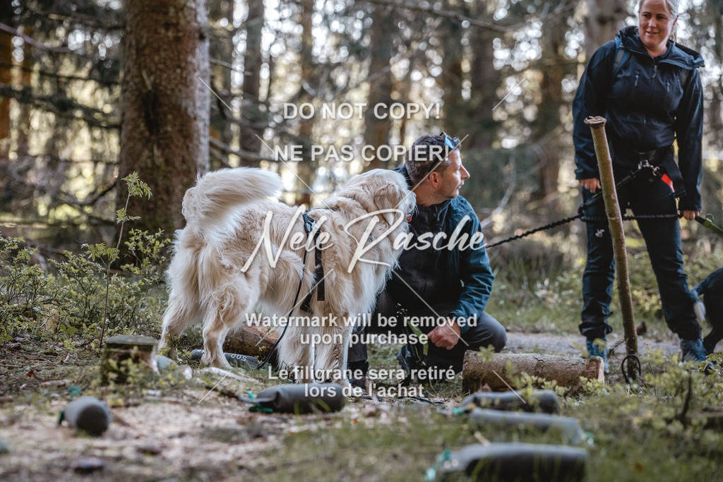 6Z1A0697 | nelerasche