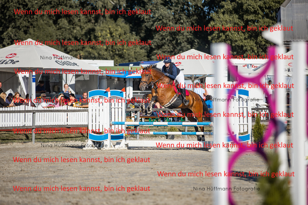BK1A7670 | Turnierbilder Turnierfotos Nina Hüffmann Turnierfotografie Pferdefotografie Tierzeichnung Haustierzeichnung Pferdezeichnung Hundezeichnung Videograf  - Realisiert mit Pictrs.com