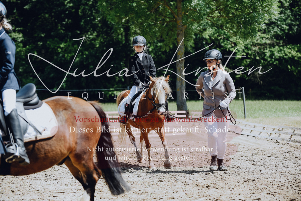 DSC_2143 | Pferde- und Turnierfotografie in Westsachsen. Pferdeportraits, Auftragszeichnungen und intuitive Kunst.