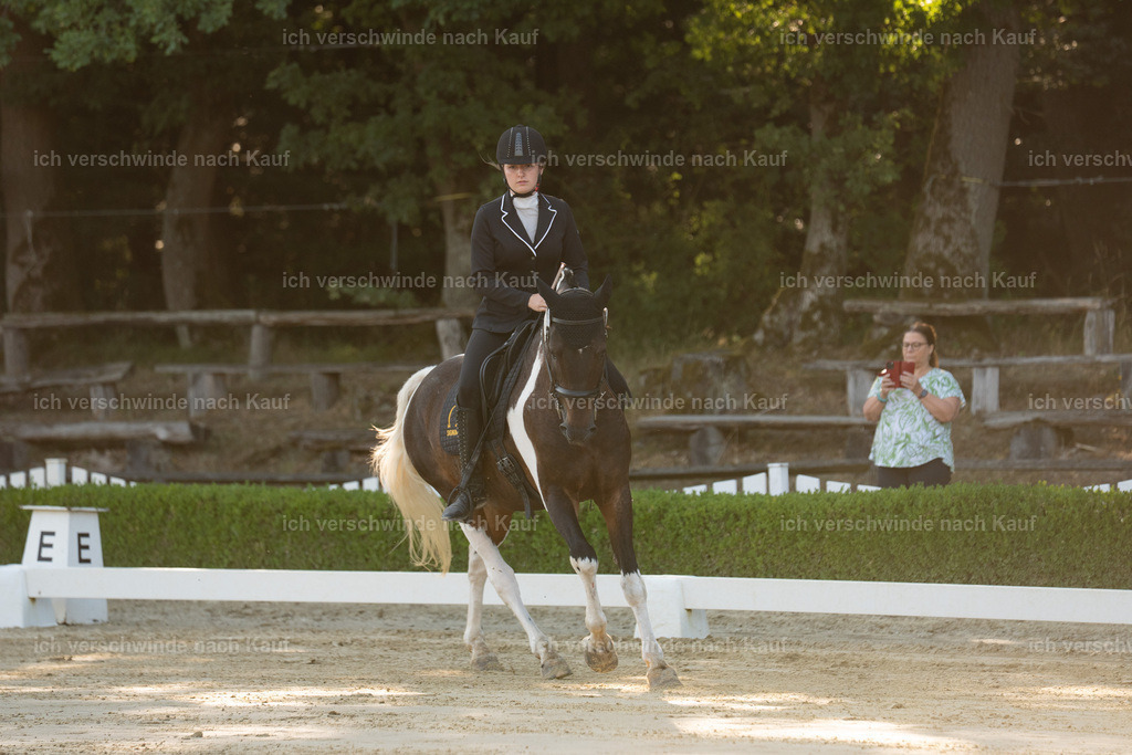 WA_DR_115_SinaFilmArt_IN00155 | working equitationturnier fotograf videograf stoibphotography marixx film working equitation deutschland reitsport turnierfotografie eventfotografie equestrian events