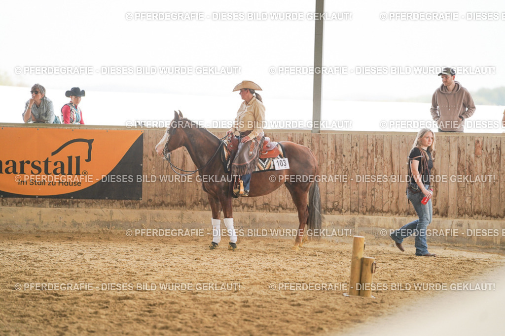 DSC06162 | Pferdegrafie