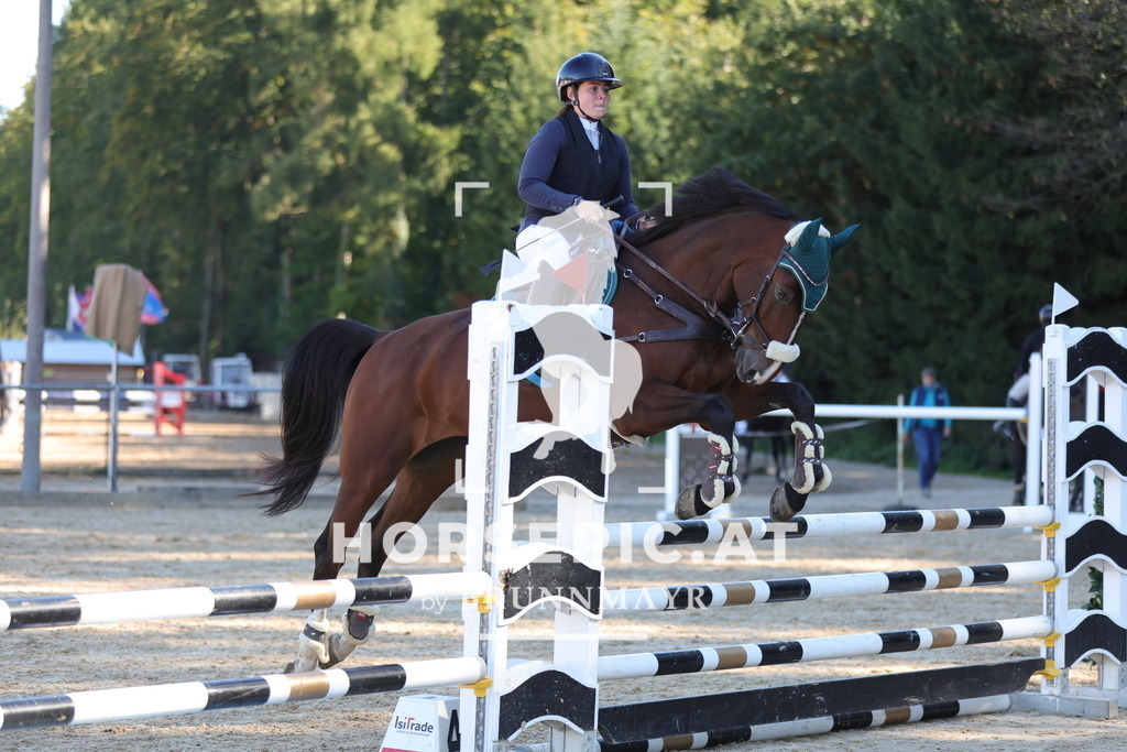 0P6A0801 | Willkommen bei Brunnmayr - Design & Fotografie – Ihrem Spezialisten für Reitturniere und Pferdeveranstaltungen in Oberösterreich, Salzburg und Bayern! Seit über 17 Jahren sind wir leidenschaftlich dabei.