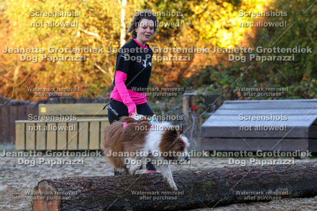 Dog Paparazzi - Strongdog 10-25-402 | Dog Paparazzi Jeanette Grottendiek Fotografie & Videografie - Realisiert mit Pictrs.com