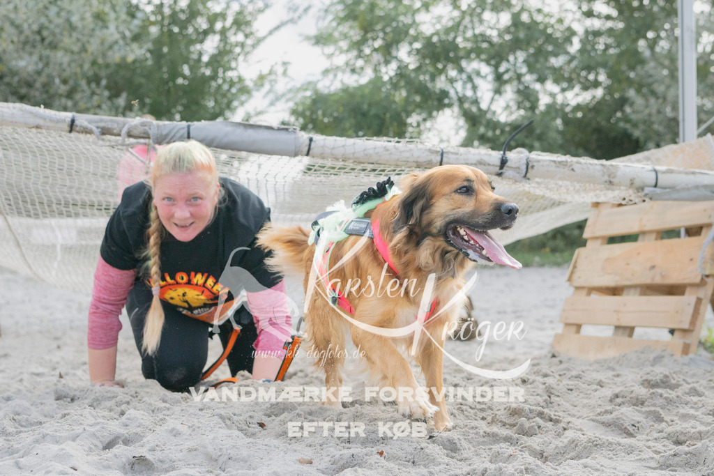 1338_ZZ98137 | kk-dogfotos