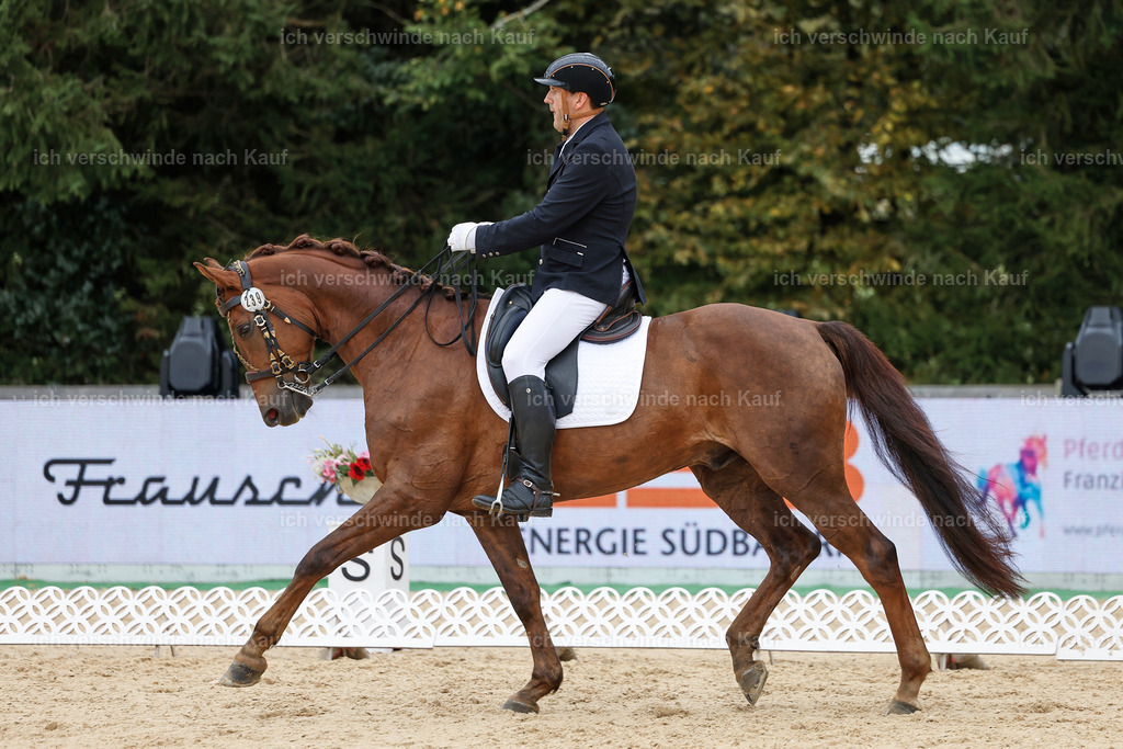 3-239-Dressur M_-StoibPH-2426 | working equitationturnier fotograf videograf stoibphotography marixx film working equitation deutschland reitsport turnierfotografie eventfotografie equestrian events