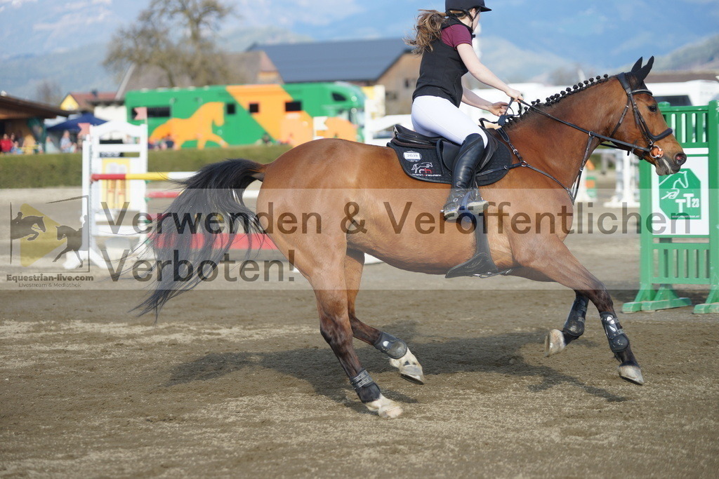 DSC03520 | equestrian-live-com