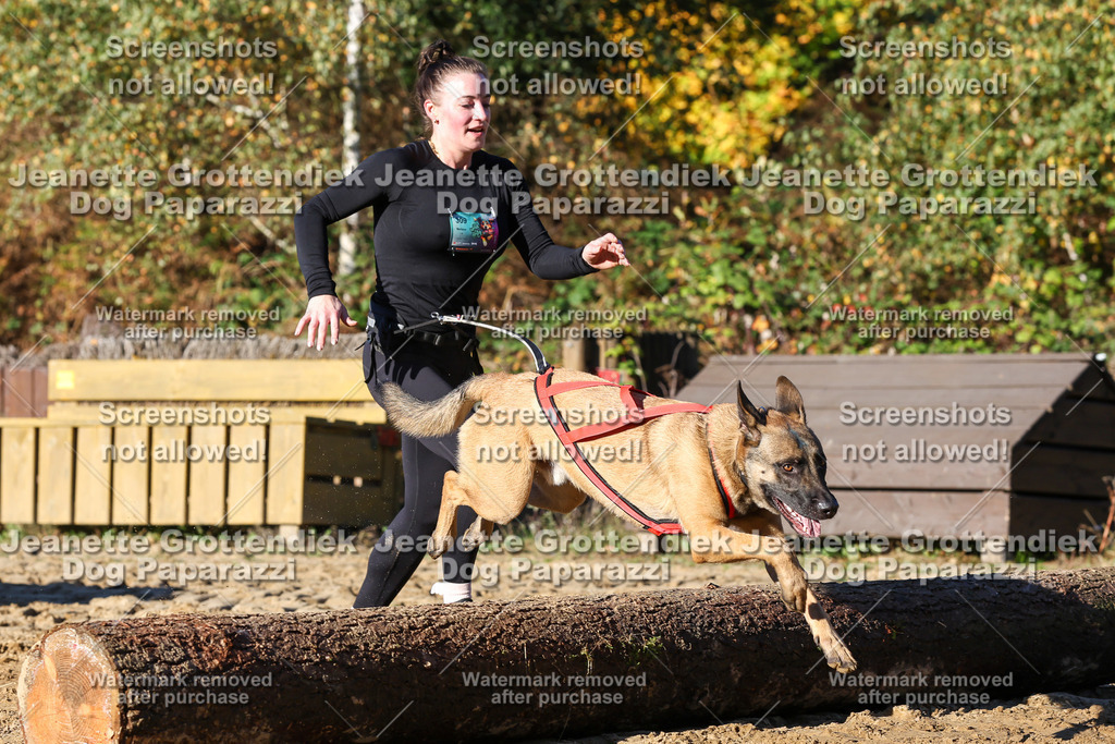 Dog Paparazzi - Strongdog 10-25-1592 | Dog Paparazzi Jeanette Grottendiek Fotografie & Videografie - Realisiert mit Pictrs.com