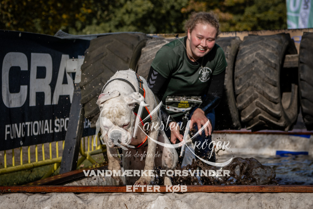 1317_ZZ92296 | kk-dogfotos