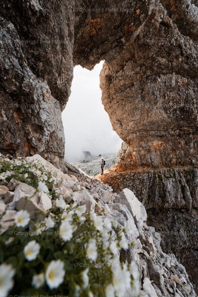 Prestreljeni_ko_Okno_Kanin-40 | piet_flosse