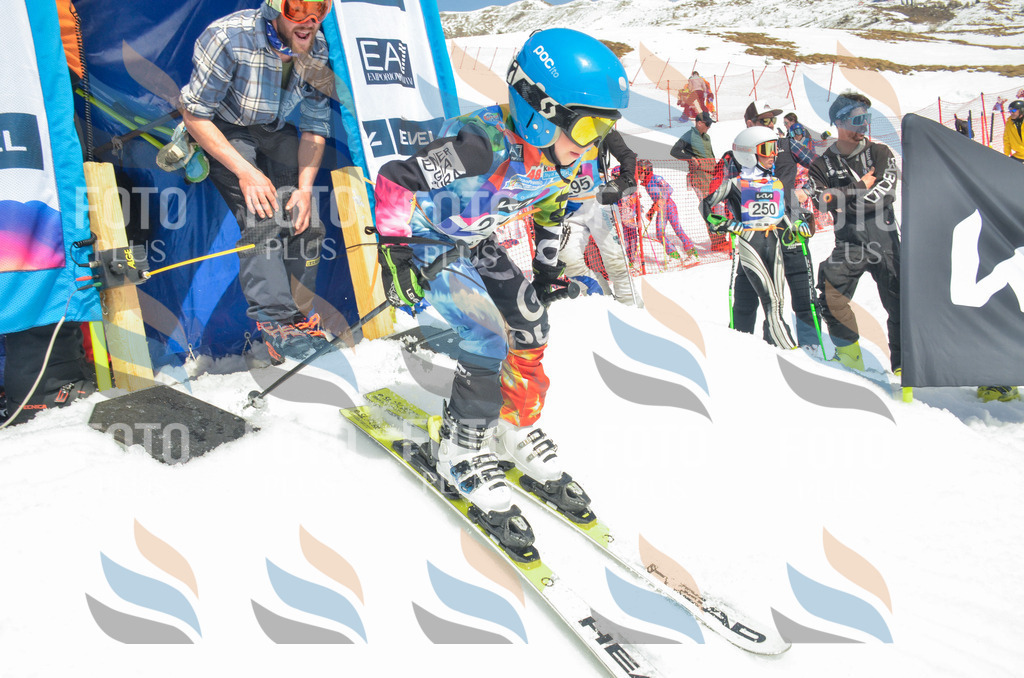 _ELE7118 | holidayphoto