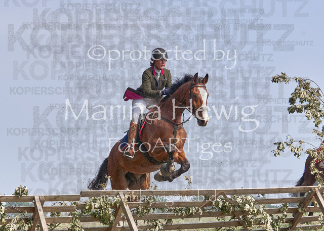 09-23 Jagd Perdöl_MCH0057_Marina Hewig | Fotografie, FotoArt, PferdesportArt, Pferdesportfotografie, Landschaftsfotografie, Reisefotografie, Reise, Pferde - Realisiert mit Pictrs.com